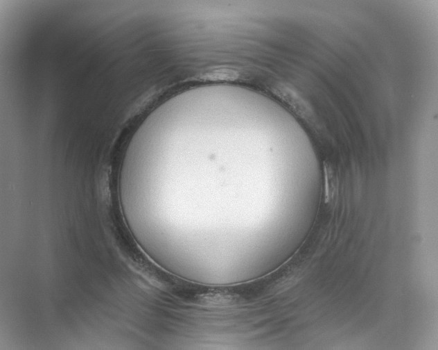 X0000073850300200608312008