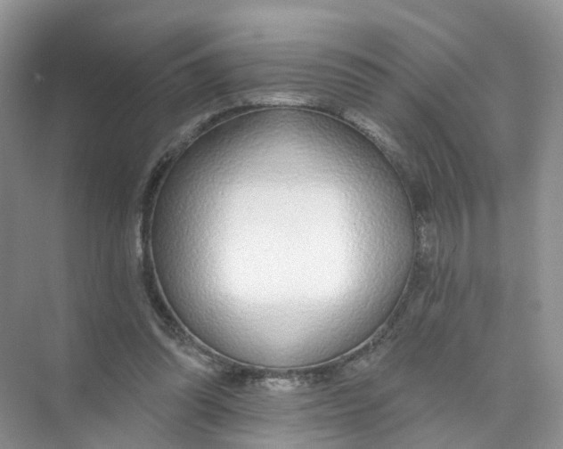 X0000073850302200608312007