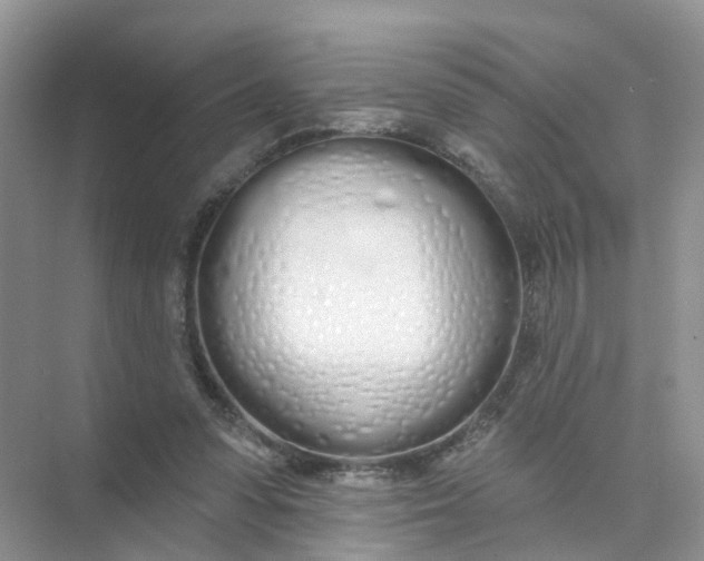 X0000073850303200608312007