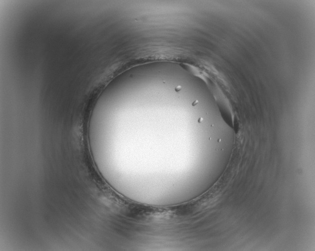 X0000073850306200608312007