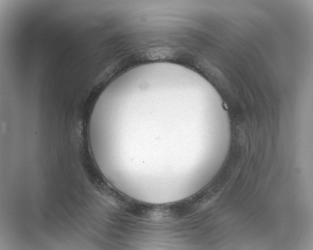 X0000073850308200608312007