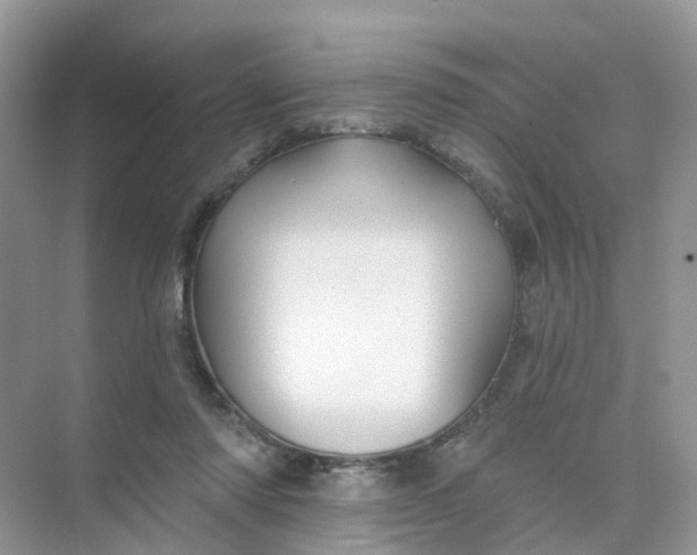 X0000073850310200608312007