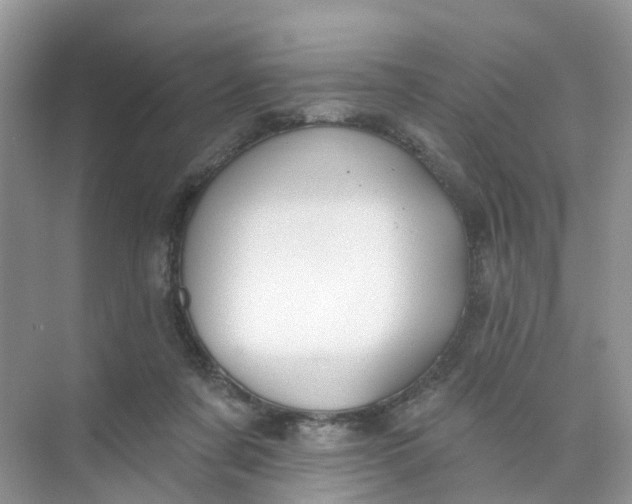 X0000073850311200608312007