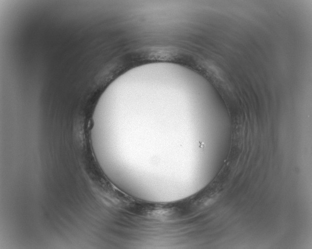 X0000073850312200608312007