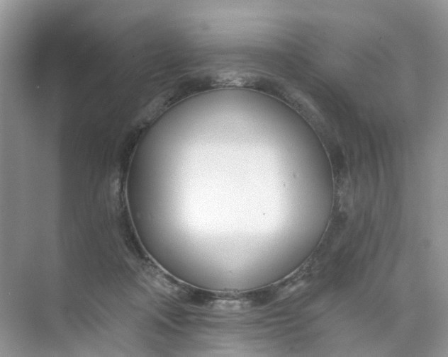 X0000073850314200608312007