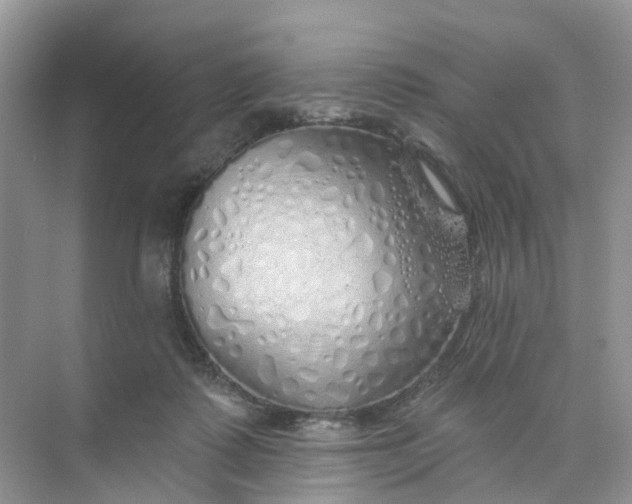 X0000073850315200608312007