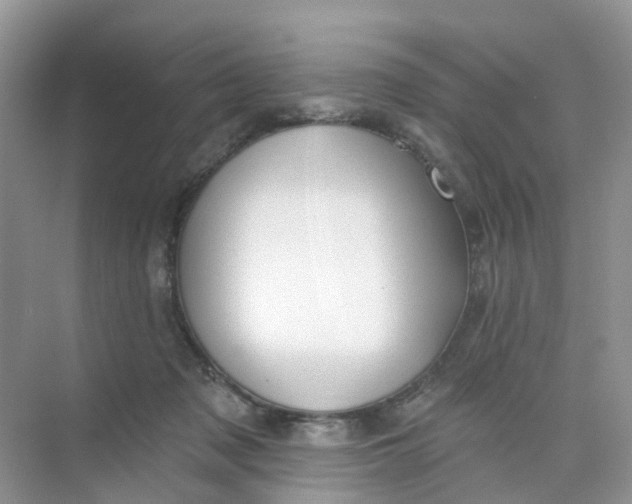 X0000073850317200608312007