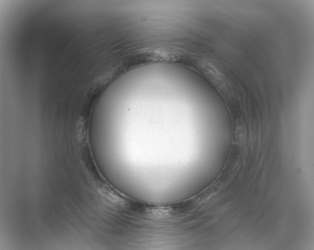 X0000073850318200608312007