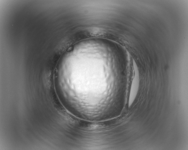 X0000073850319200608312007