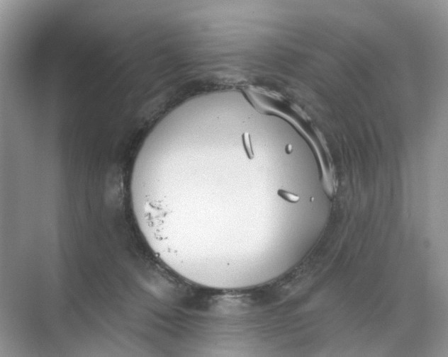 X0000073850320200608312007