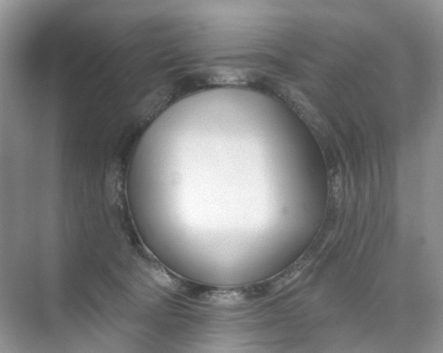 X0000073850322200608312007