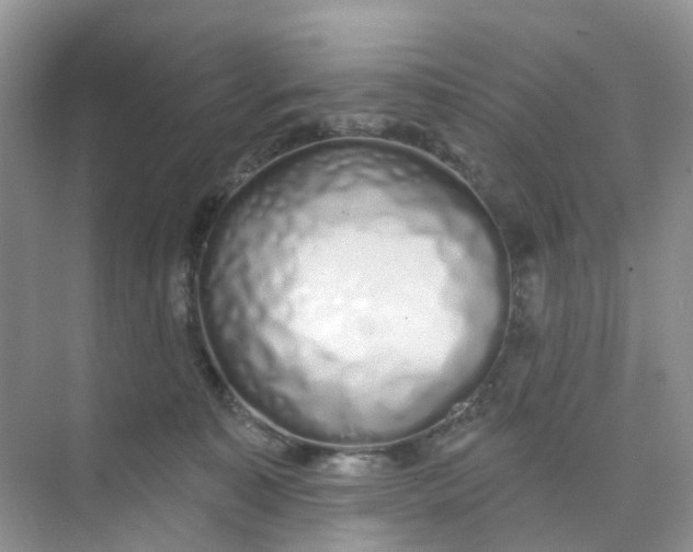 X0000073850323200608312007