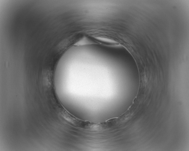 X0000073850325200608312007