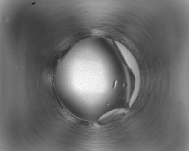 X0000073850329200608312007