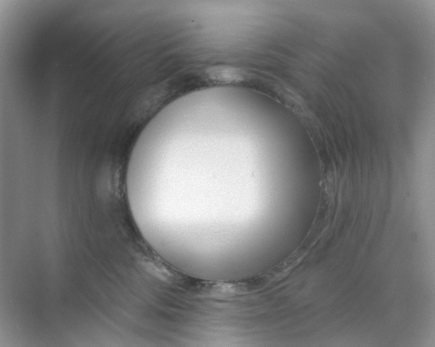 X0000073850330200608312007