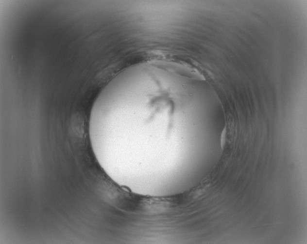 X0000073850331200608312007