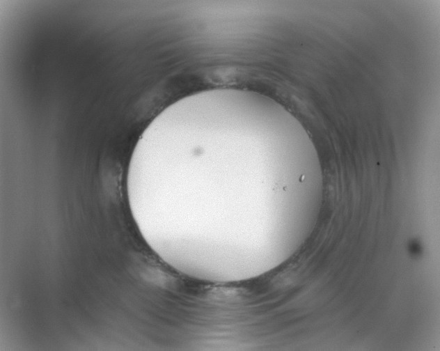 X0000073850332200608312007