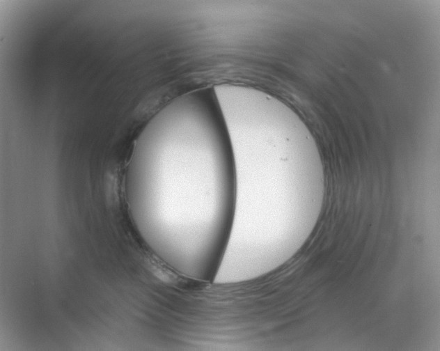 X0000073850333200608312007