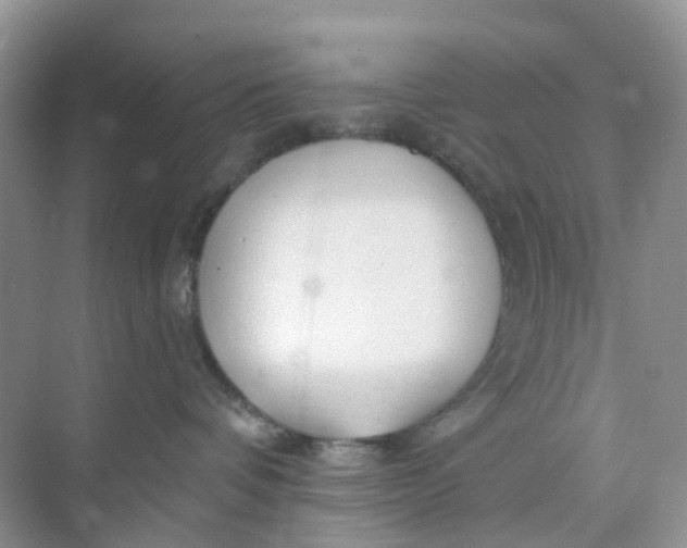 X0000073850336200608312007