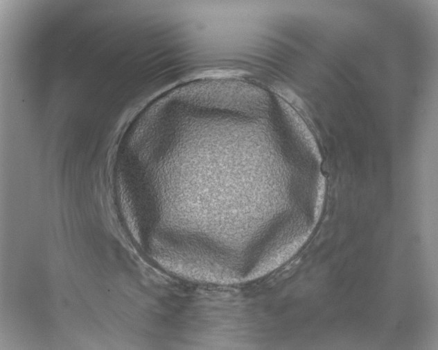 X0000073850337200608312006