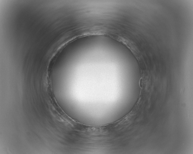 X0000073850338200608312006