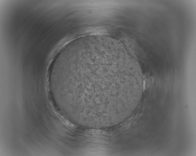 X0000073850339200608312006