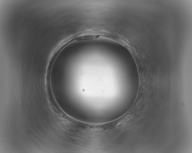 X0000073850340200608312006