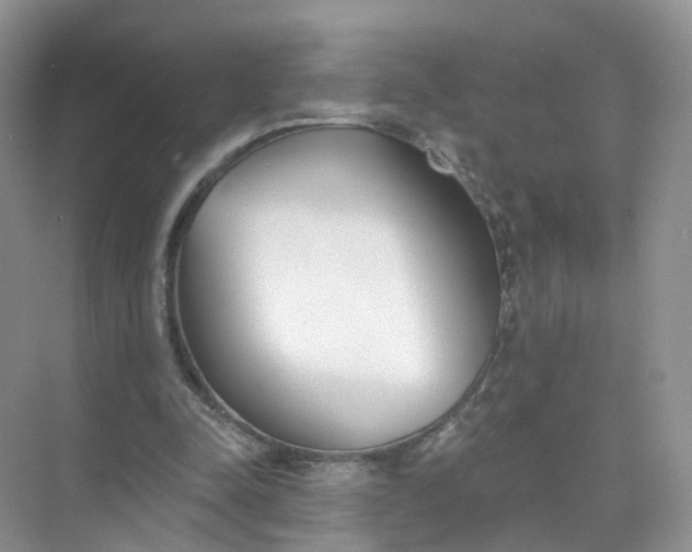 X0000073850342200608312006