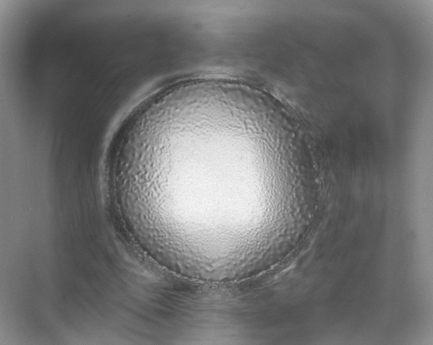 X0000073850343200608312006