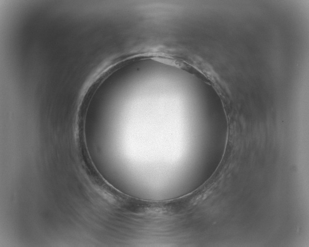 X0000073850344200608312006