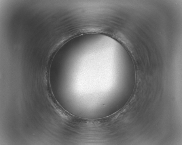 X0000073850345200608312006