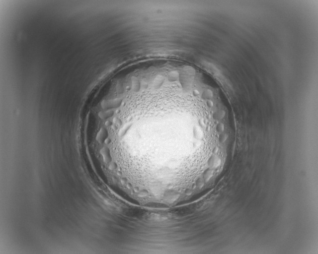 X0000073850346200608312006