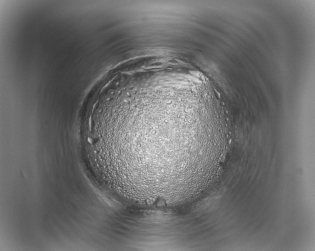 X0000073850347200608312006