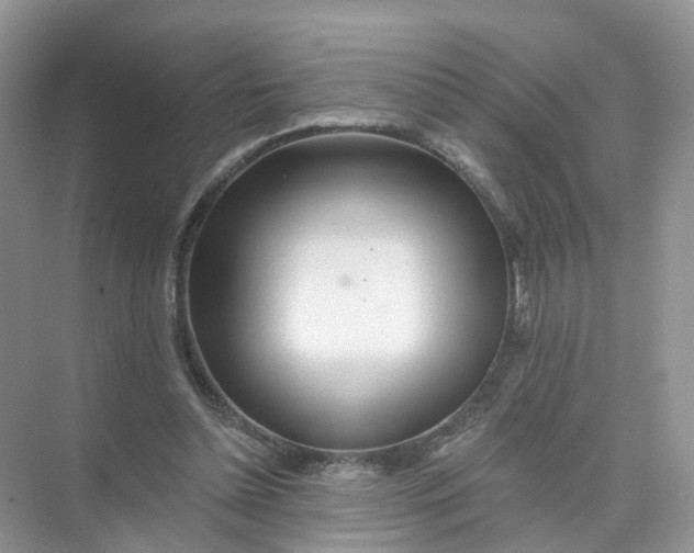 X0000073850348200608312006