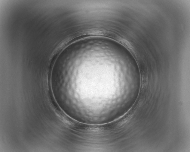 X0000073850349200608312006