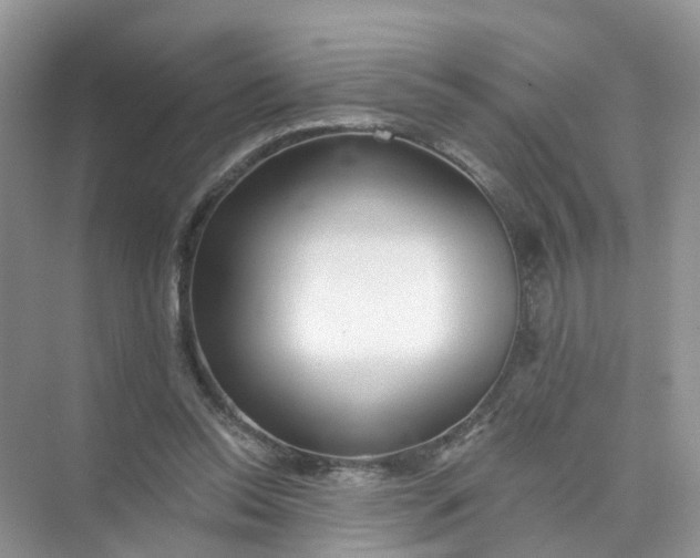 X0000073850350200608312006