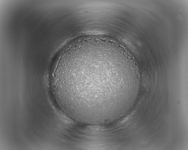 X0000073850351200608312006