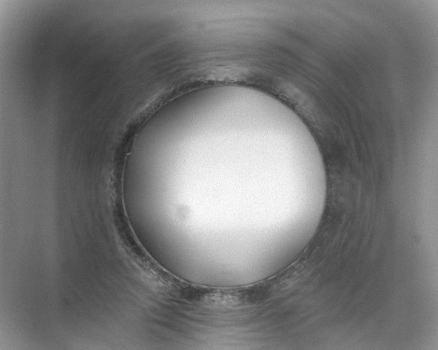 X0000073850354200608312006