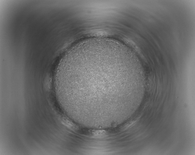 X0000073850355200608312006