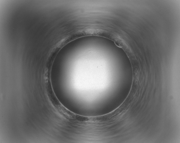 X0000073850356200608312006