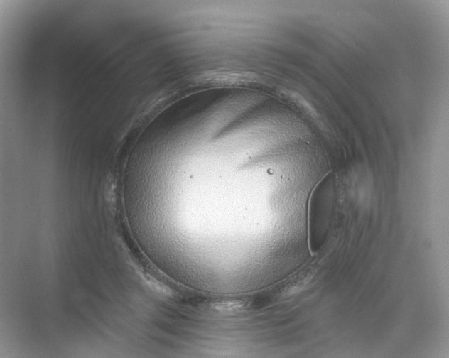 X0000073850357200608312006