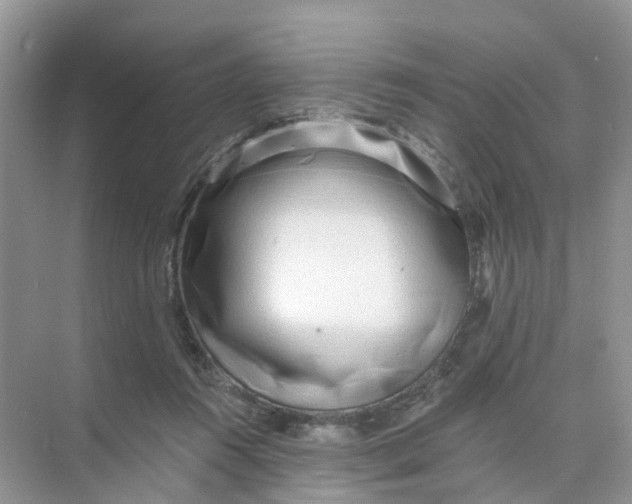 X0000073850360200608312006