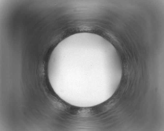 X0000073850362200608312007