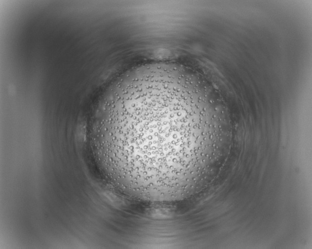 X0000073850368200608312007