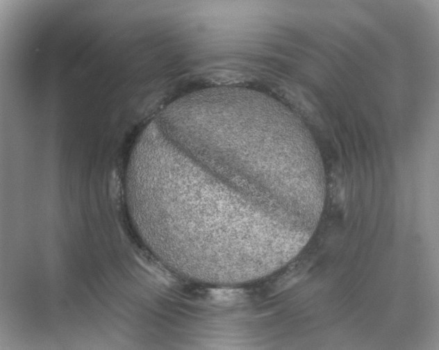 X0000073850371200608312007