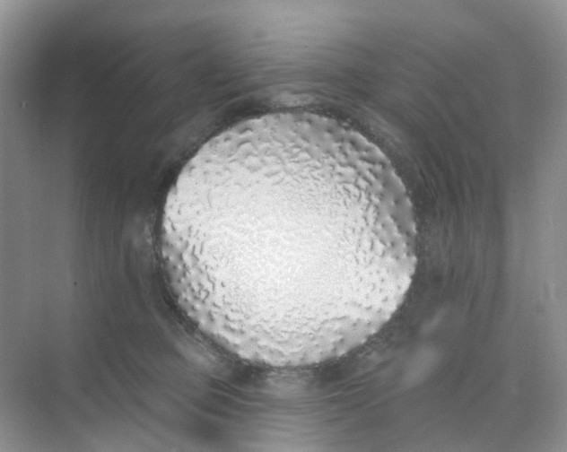 X0000073850373200608312007