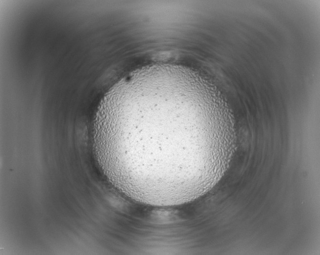 X0000073850375200608312007