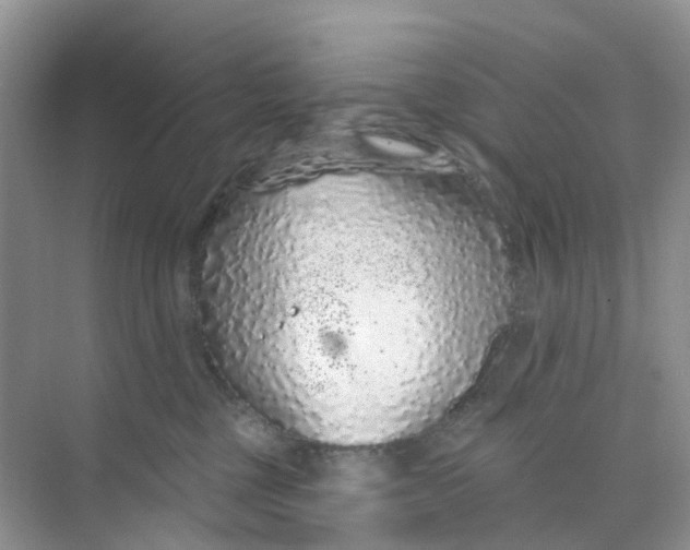 X0000073850377200608312007