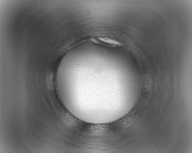 X0000073850378200608312007