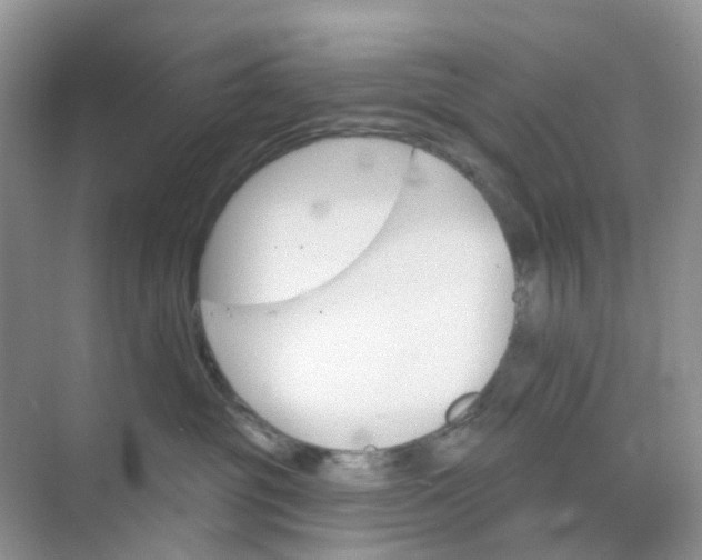 X0000073850381200608312007